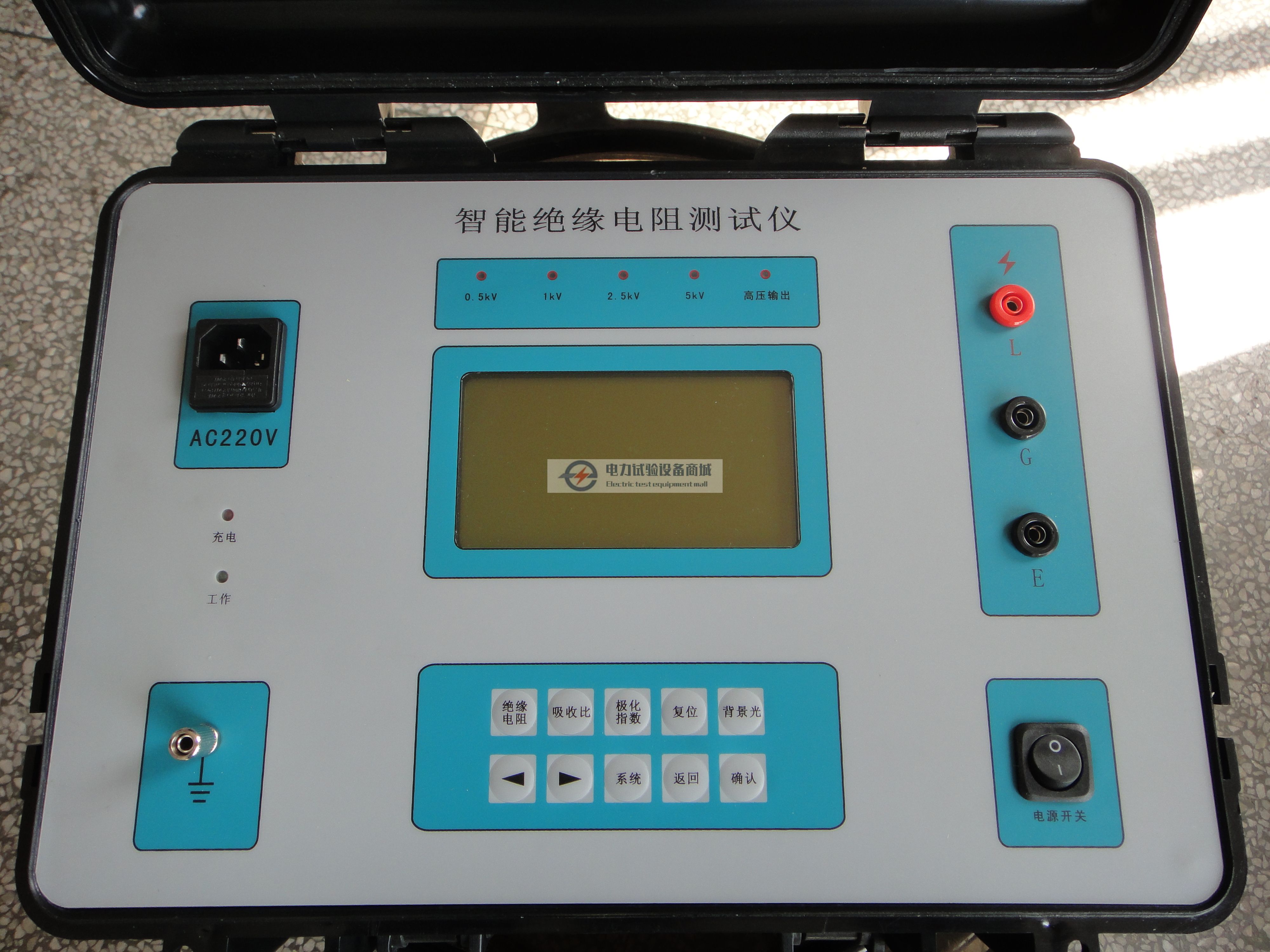 绝缘电阻测试仪图片.JPG